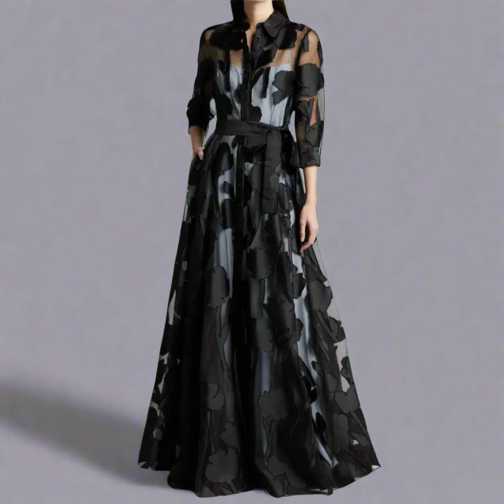 Women's Dress | Sheer Sleeve Maxi